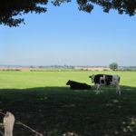 Der Ritzler Eroica Limburg la vache qui rit